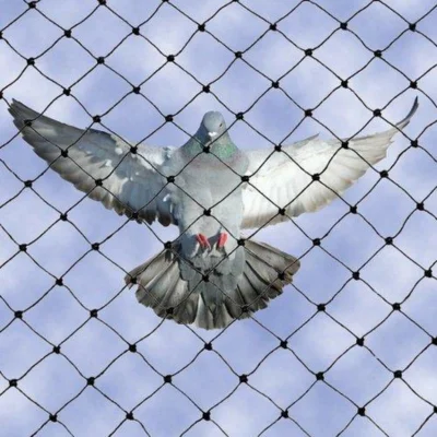 Bird Protection Net