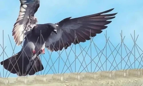 Invisible Grill Installation