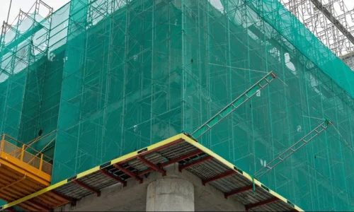 Customized Bird Solutions